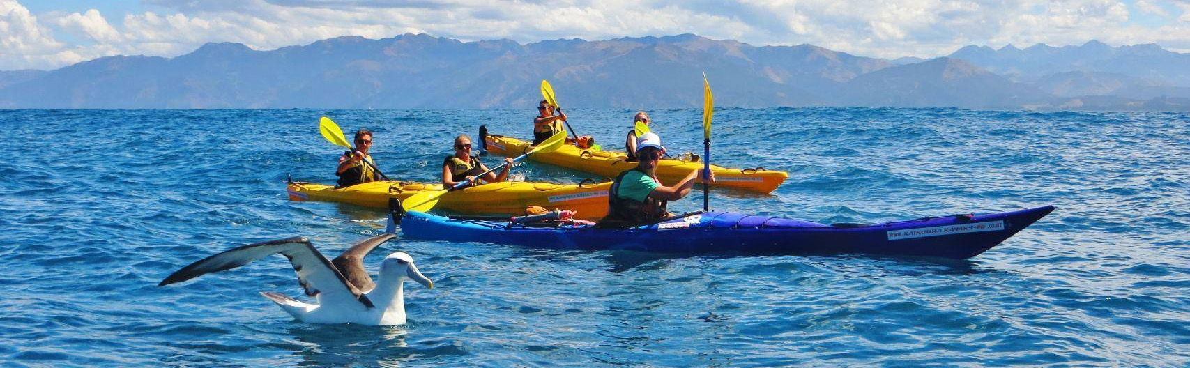 Kayaking Discounts Shop -Kayaking Discounts Shop 2